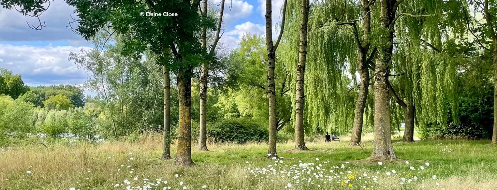 Pays de Neerpede, le jardin de tous les Anderlechtois