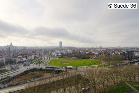 ninove